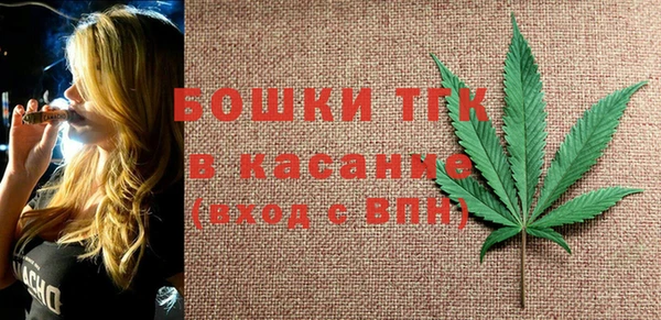 стафф Верхний Тагил